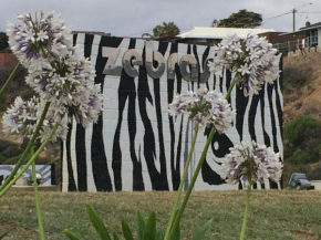 Гостиница Zebras Guesthouse  Джералдтон